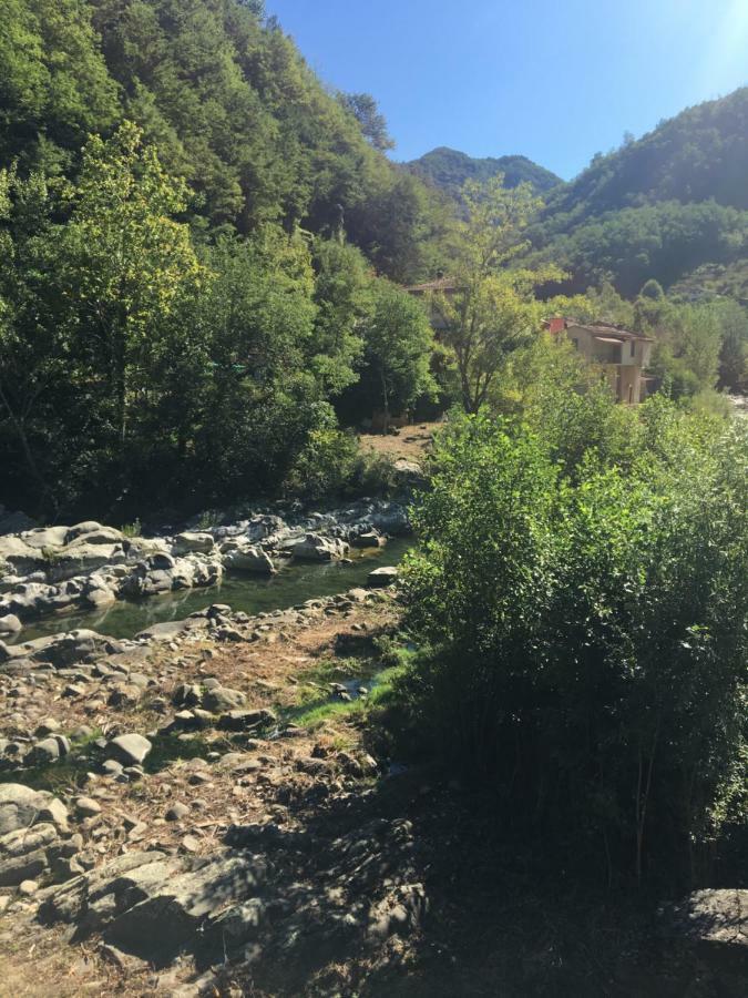 Chalet River Idyll